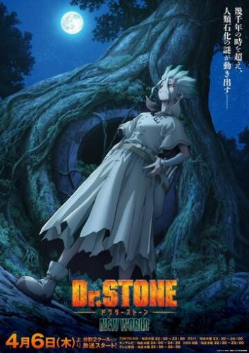    / Dr. Stone (2019)