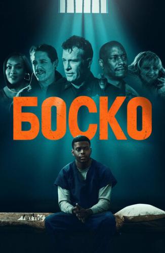   / Bosco (2024)