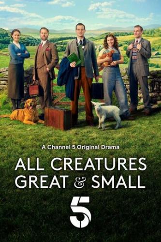     -    / All Creatures Great & Small (2020)
